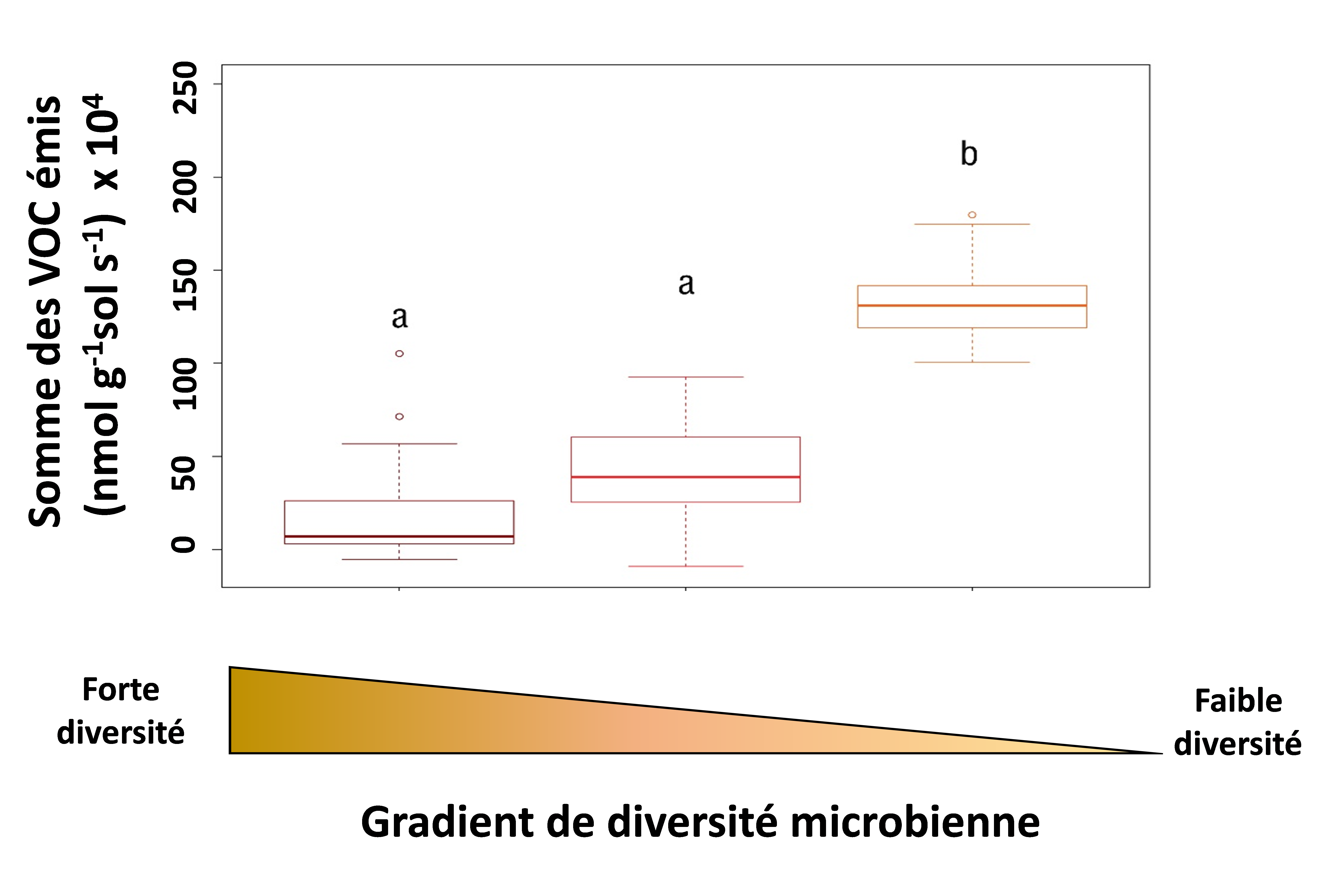 Diversite-microbienne.png