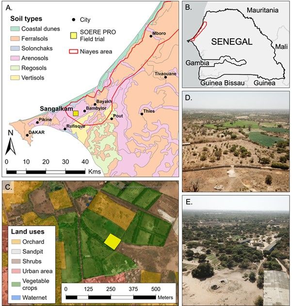 Localisation_contexte_essai_2025_Sangalkam_1.jpg