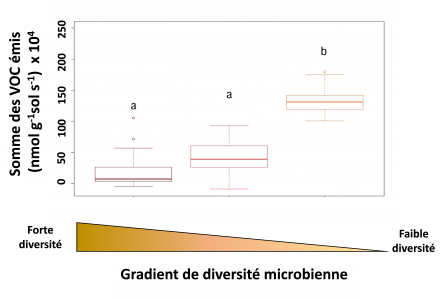 Diversité microbienne