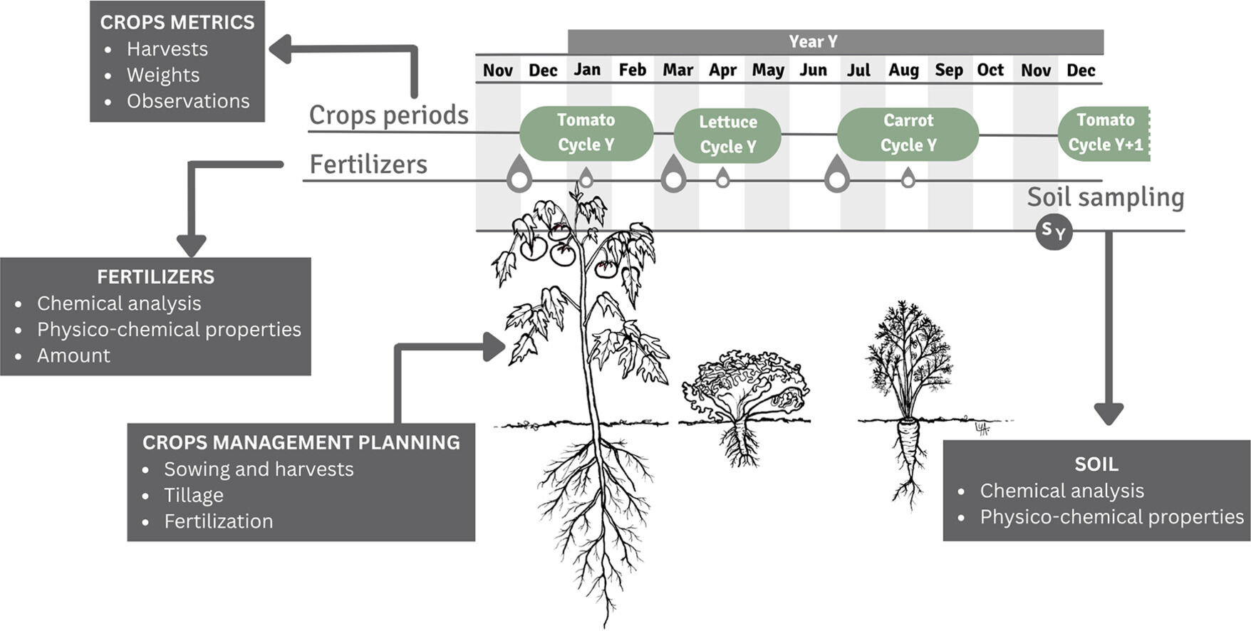 Graphical abstract Vermeire-al.-2026