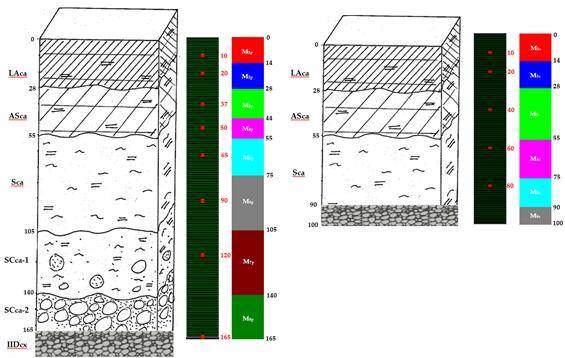 Profil de sol des parcelles (a) et des cases lysimétriques (b) : horizons, discrétisation, nœuds d’observation et matériaux de sol pris en compte pour les simulations réalisées à l’aide d’HYDRUS-1D.