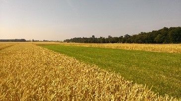 MétaMétha – Centre Val de Loire (Indre-et-Loire) Nouzilly