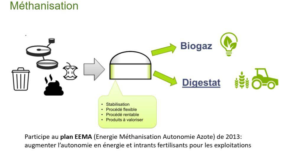 Digestats de méthanisation