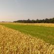 MétaMétha – Centre Val de Loire (Indre-et-Loire) Nouzilly