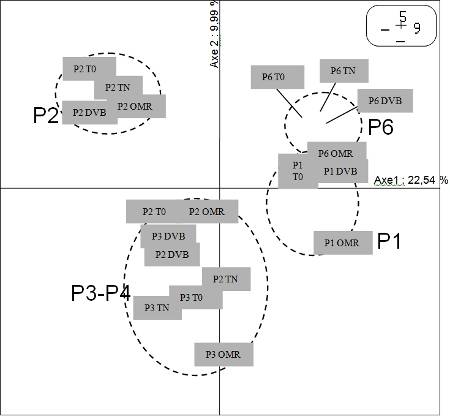 TRFLP_Bacteries_72dpi.jpg