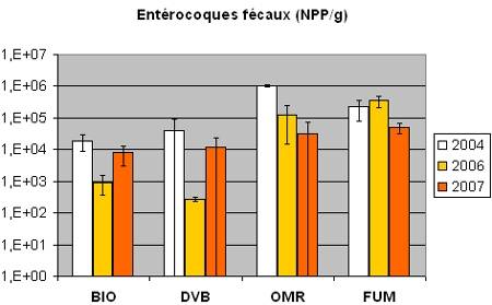 Enterocoques.jpg