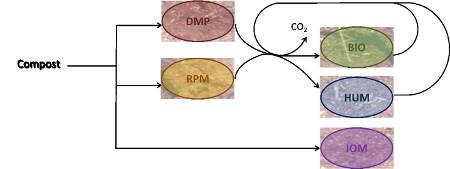RothC_72-dpi.jpg