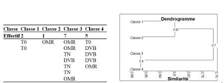 CommunauteBacterienneP4_72dpi.jpg