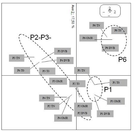 TRFLP_Champignon_72dpi.jpg