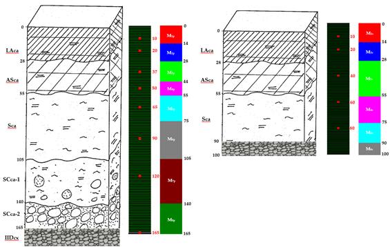 Profil de sol des parcelles (a) et des cases lysimétriques (b) : horizons, discrétisation, nœuds d’observation et matériaux de sol pris en compte pour les simulations réalisées à l’aide d’HYDRUS-1D.